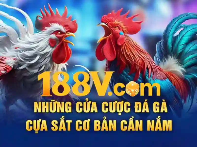 giftcode 188v – Tương lai phát triển và trách nhiệm xã hội