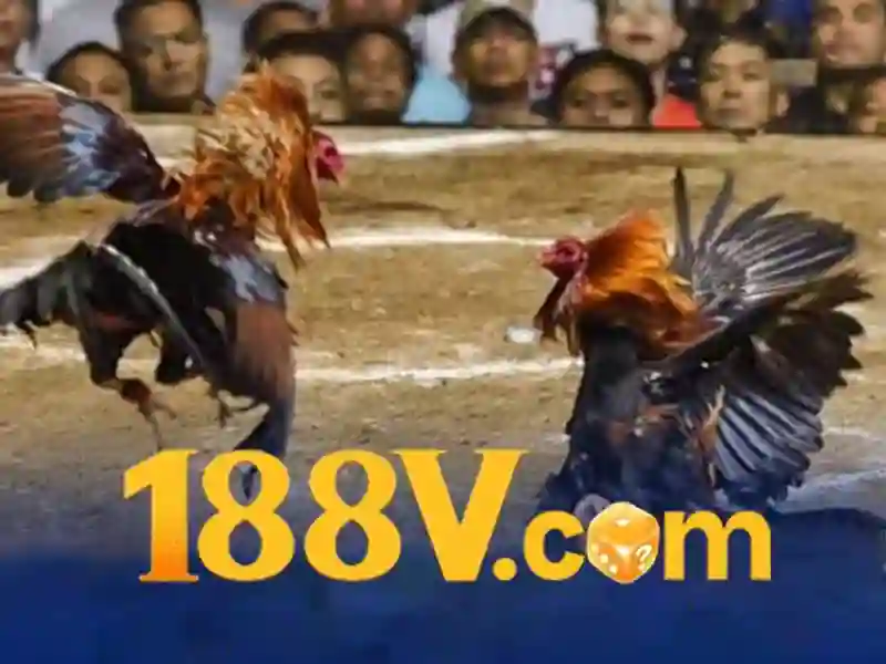 188v apk: khám phá trải nghiệm và đánh giá tổng quan