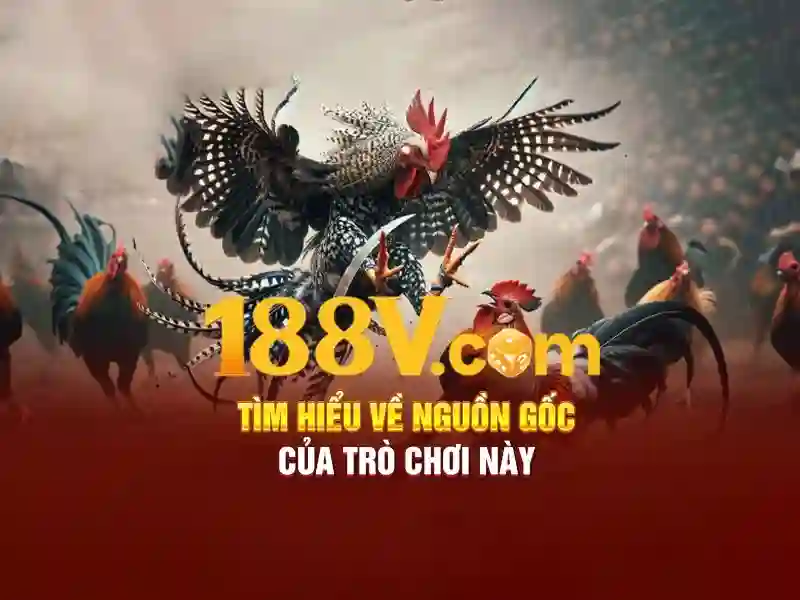 giftcode 188v và hành trình trải nghiệm đỉnh cao