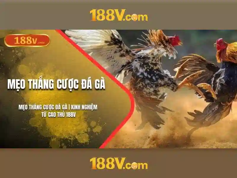188V là gì và ứng dụng