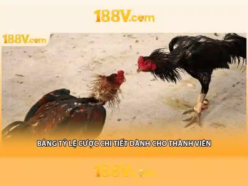 188v tại app – Trải nghiệm và ưu đãi trên 188v. com