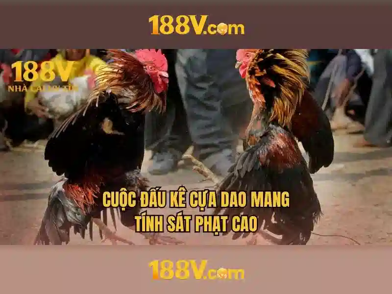 188v: Đổi mới trong kỷ nguyên số