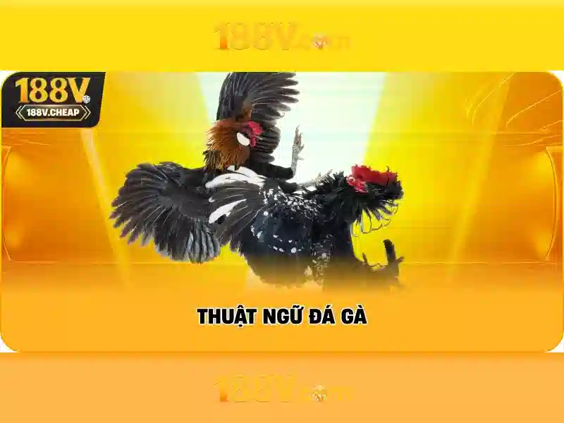 Chú ý đầu tiên