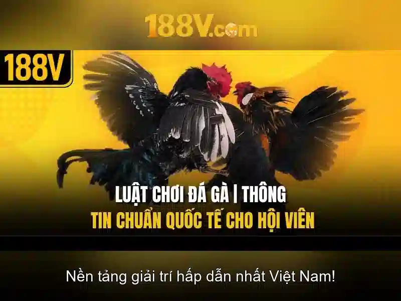 Nguồn gốc và khái niệm