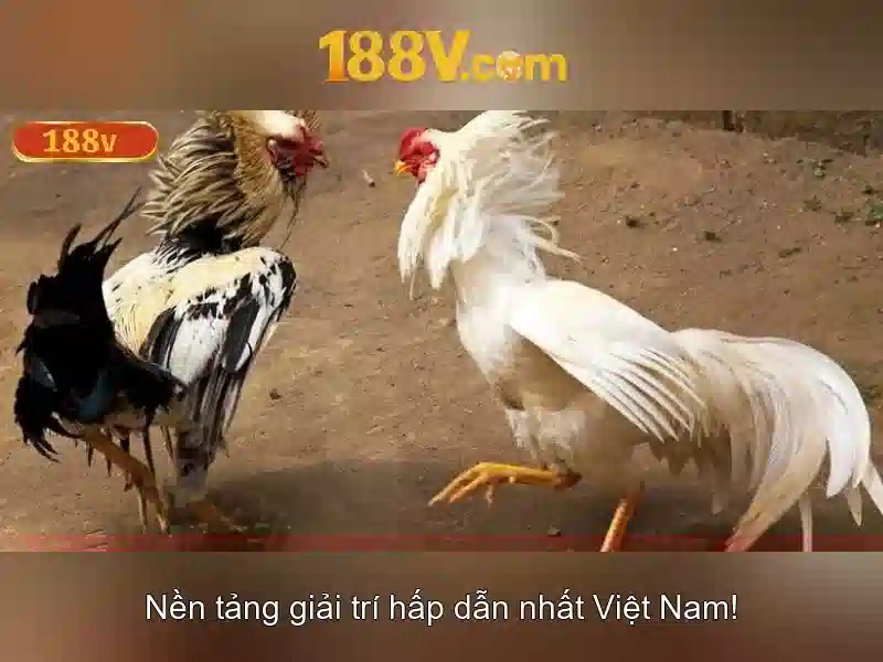 Thiết kế và an toàn khi làm việc với 188V