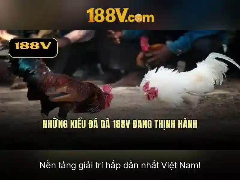 Rào cản và an toàn