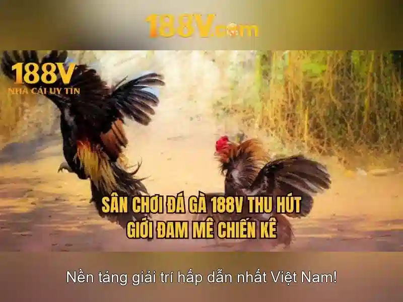 An toàn và bảo dưỡng