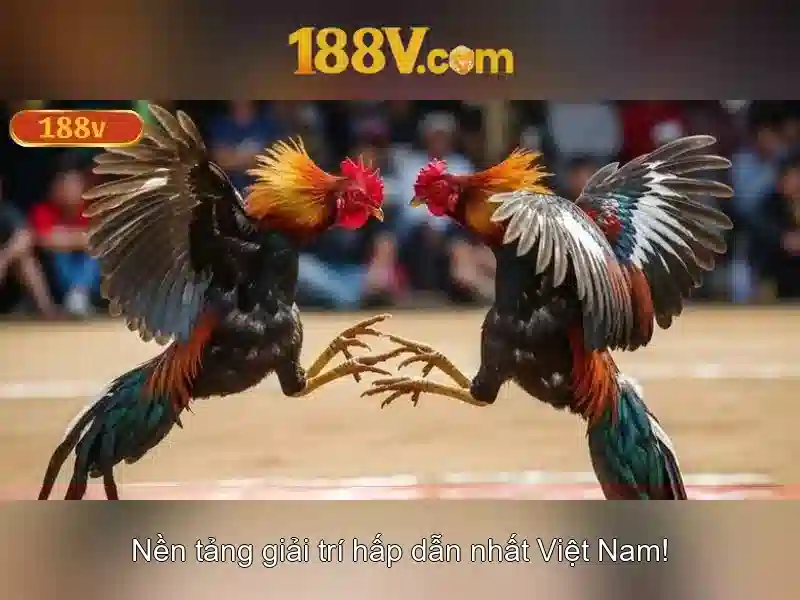 188v: một khái niệm mở giữa nghệ thuật và công nghệ