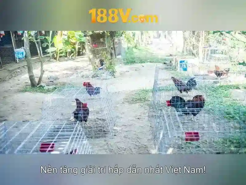 Điện áp 188V: Hiểu biết và an toàn
