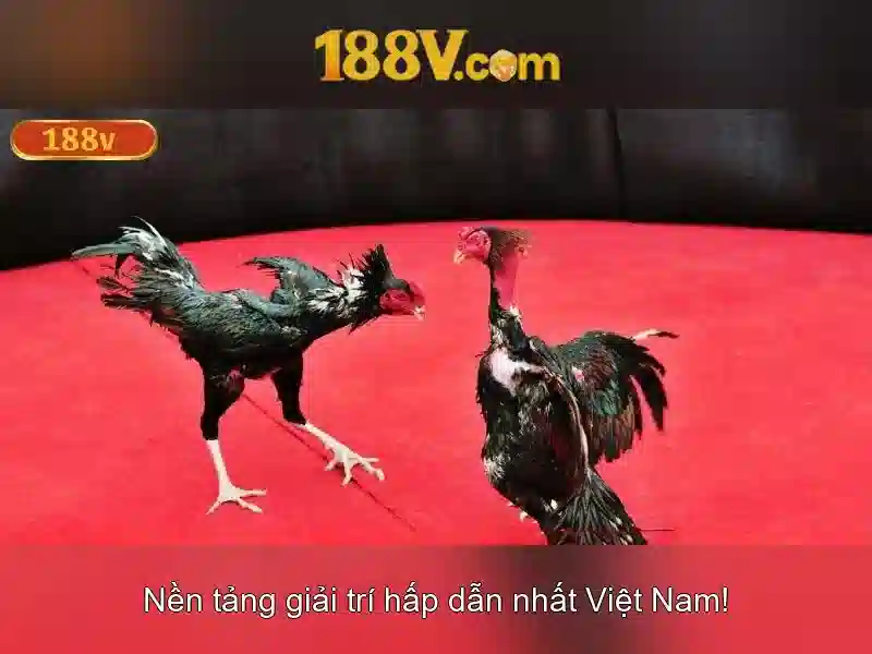 ưu thế cạnh tranh của giftcode 188v