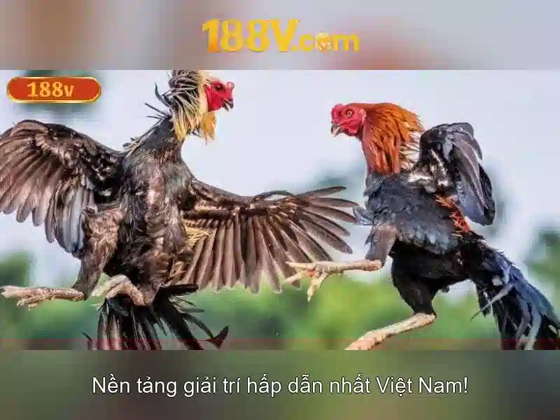 An toàn khi làm việc với 188v\n<h>Kết luận về 188v</h>\n<p style=