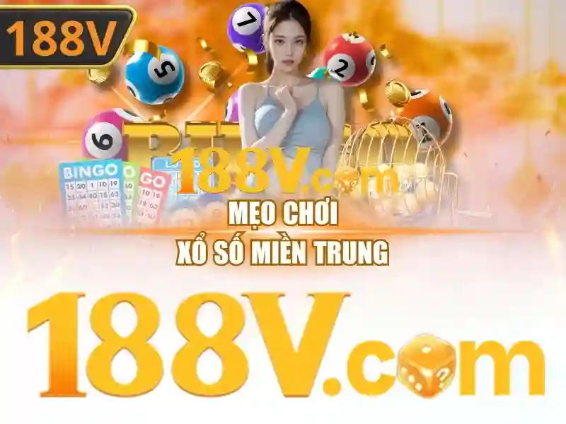 Trải nghiệm người dùng và phản hồi</h2>