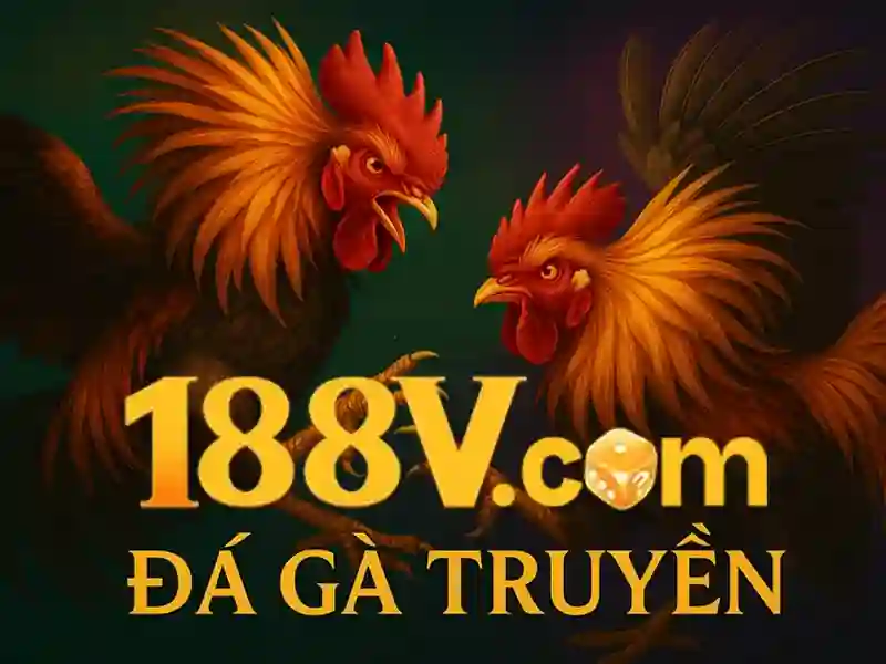 Giấy phép hoạt động và chứng nhận uy tín của 188v