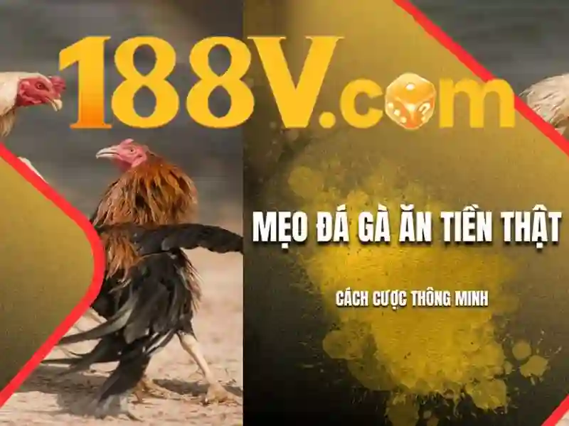 188v – Hành trình thương hiệu và trải nghiệm đỉnh cao cho người dùng