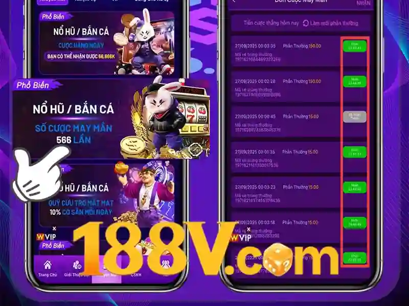 Trải nghiệm người dùng và phản hồi cộng đồng