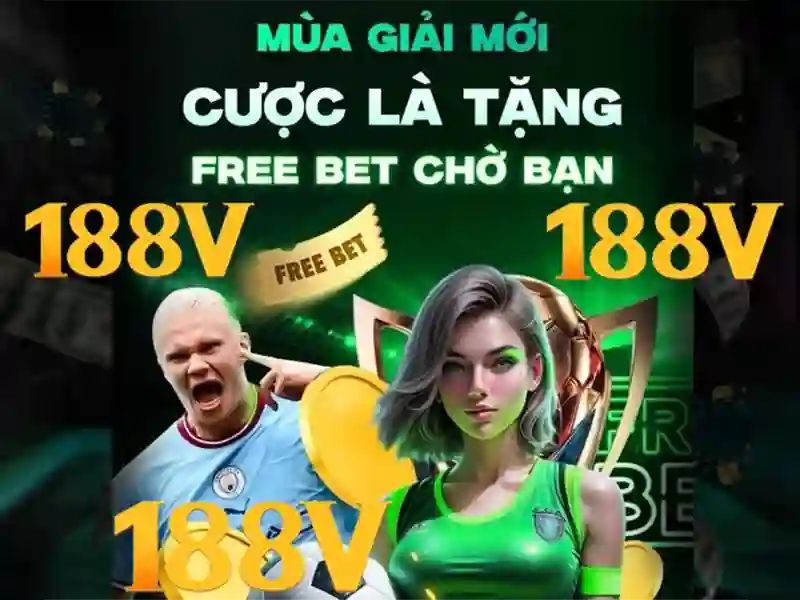 Trải nghiệm người dùng và phản hồi từ cộng đồng